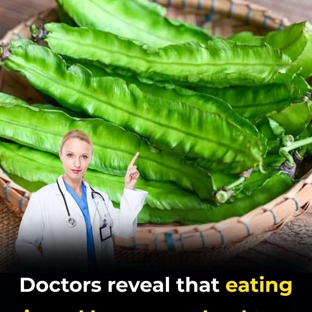 Doctors Reveal What Eating Winged Beans Can Lead To: The Benefits and Risks You Should Know 780093483_1523994136439823_95123537016916111_n
