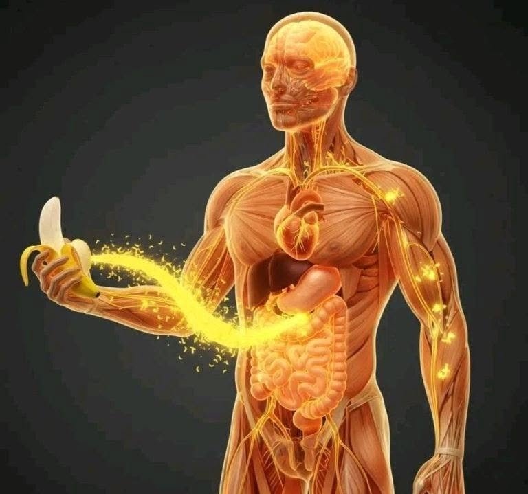 Eating Bananas in the Evening: What Really Happens to Your Body? 800818937_1818199896176004_4694151371237313280_n