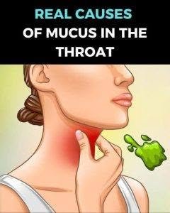 The Real Causes of Constant Phlegm and Mucus in the Throat — and How to Get Rid of It 813520180_2302063530608803_2545505932719514329_n