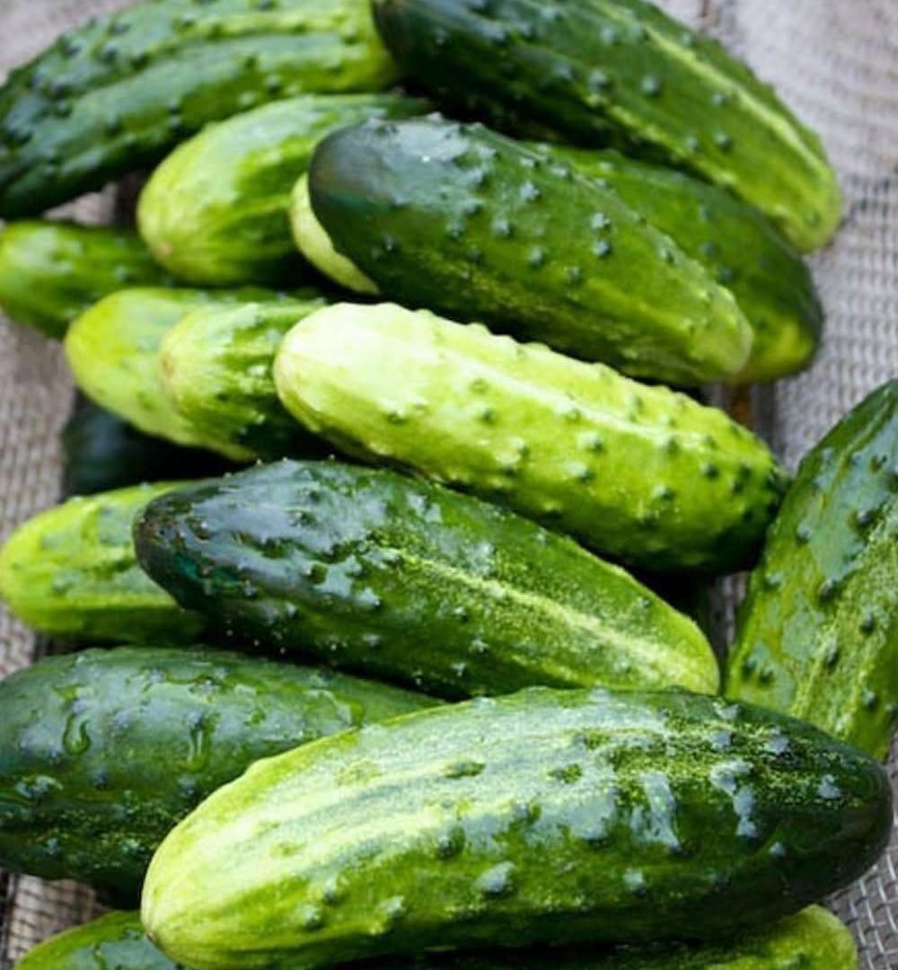 Doctors Reveal What Eating Cucumber in Salads Can Do to Your Body 813878325_122124047667340875_7231209463557883502_n