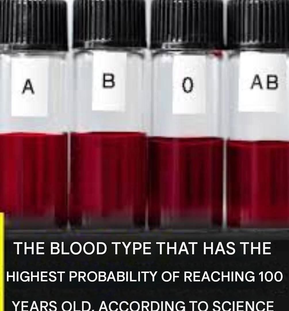 People With This Blood Type Are More Likely to Live to 100 Years Old: What Science Really Says 816996373_1090964366764321_673338572534274669_n