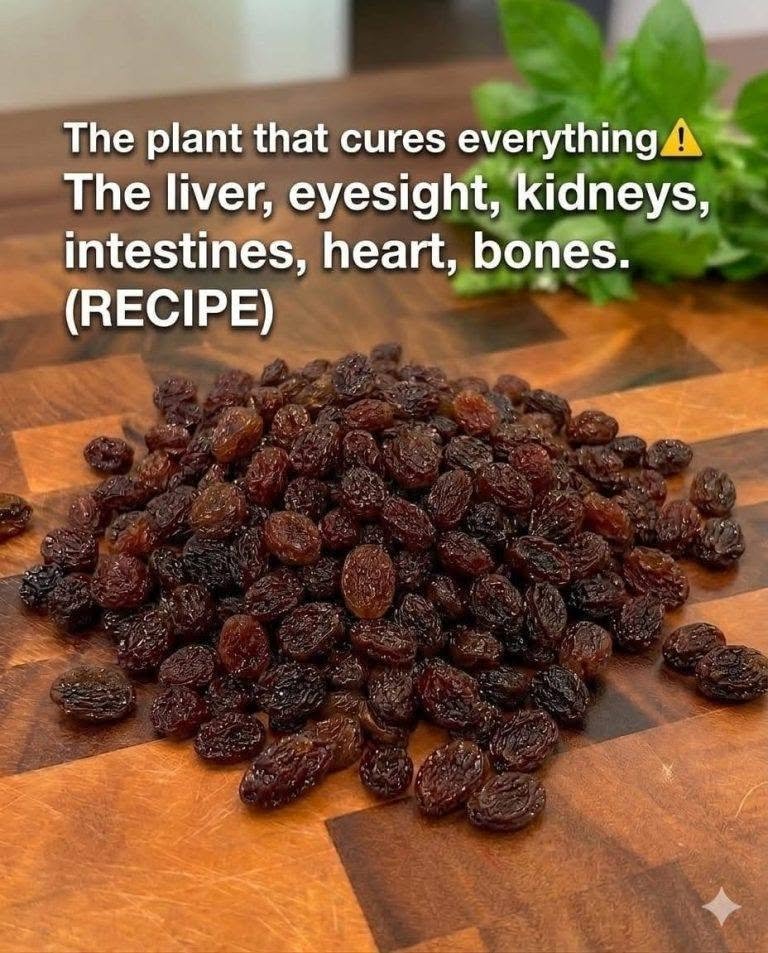 The “Plant That Cures Everything”: What Raisins Can Really Do for Your Liver, Eyes, Kidneys, Heart, Intestines, and Bones 822286080_122098369581489414_8343013979926964645_n