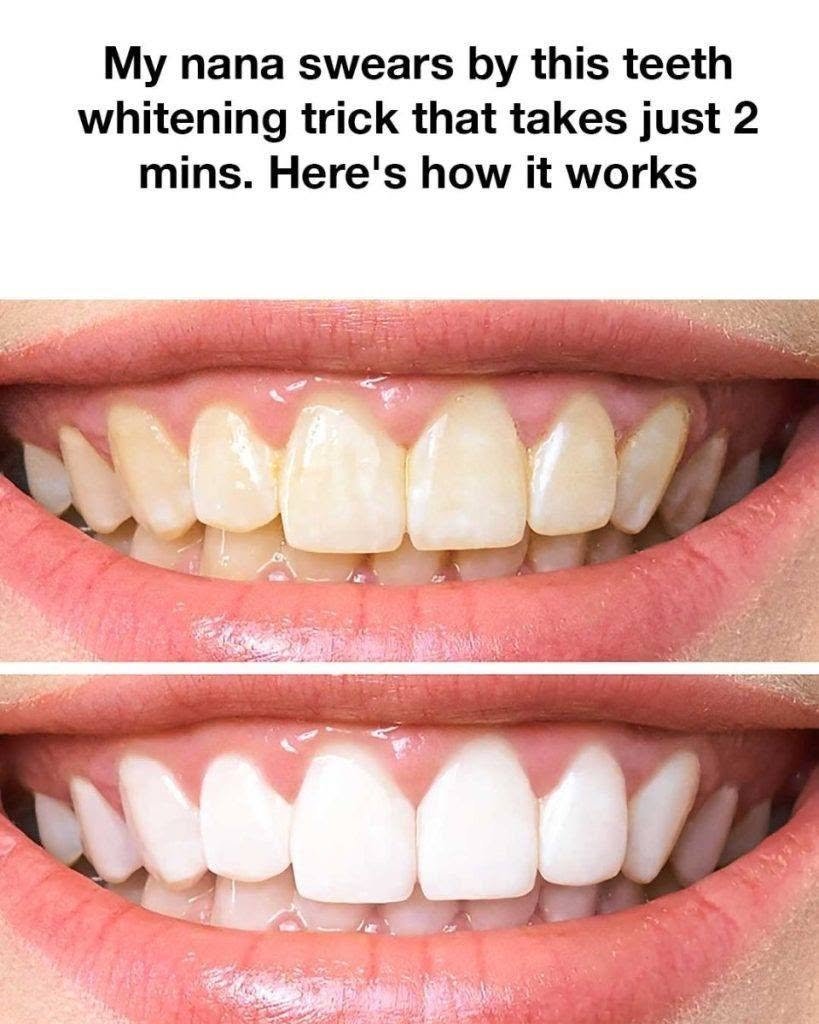 825271271_122115205683462809_7131852968909921546_n