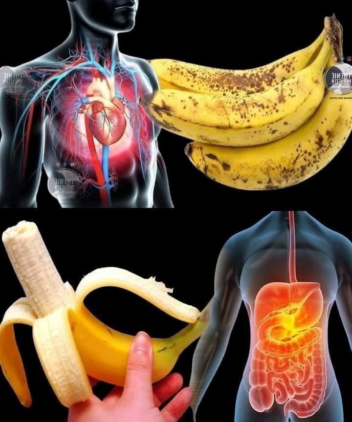 Did You Know That Eating Bananas Can Increase Potassium Intake and Support Heart and Digestive Health? 829271998_1103360619225590_4335941613074051440_n