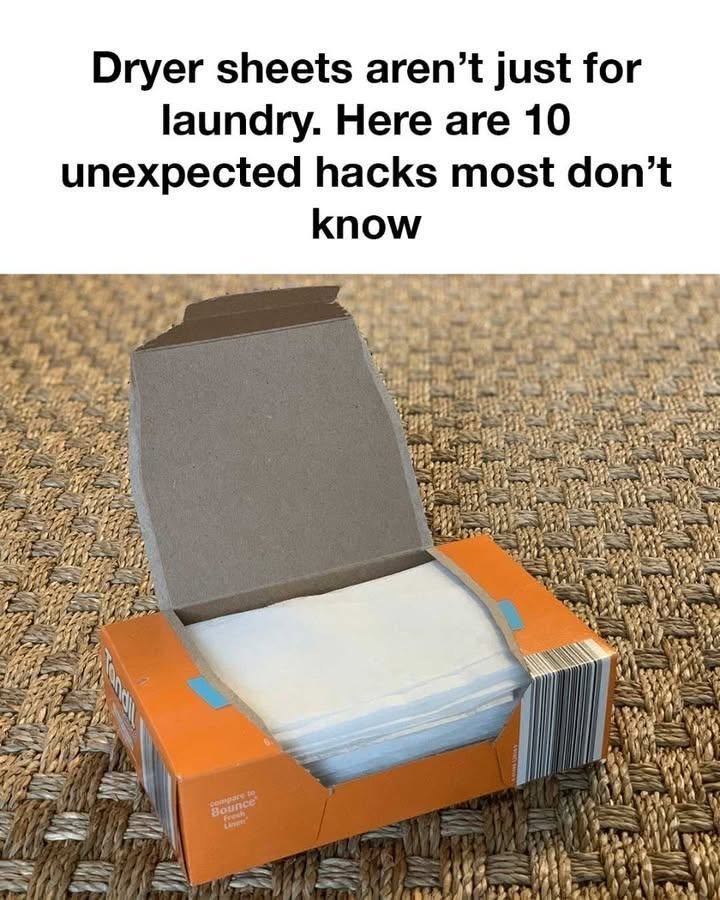 833915474_1050334118049962_7751115930432221354_n