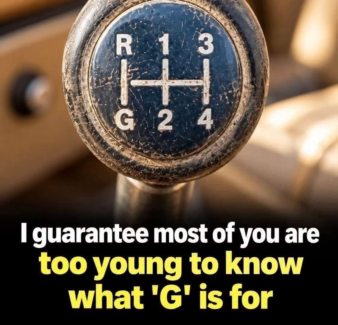 835874576_1729715622493860_1819163124996247994_n