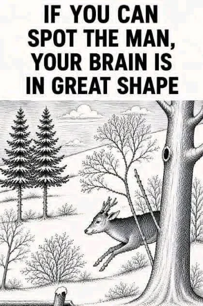 839594582_1438943258428835_388833969855763497_n