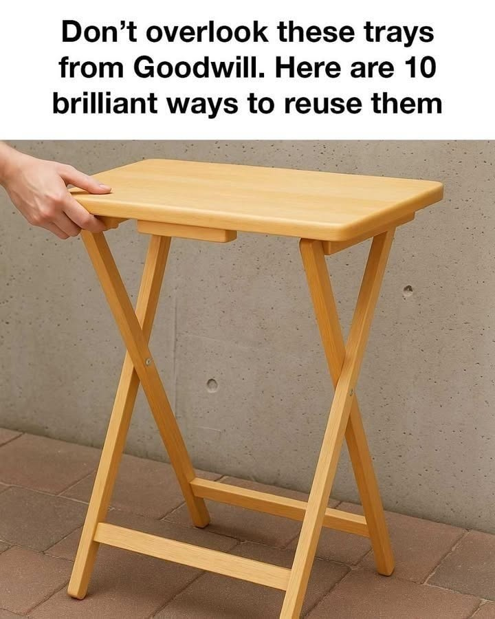 Don’t Overlook These Trays from Goodwill: 10 Brilliant Ways to Reuse Them image